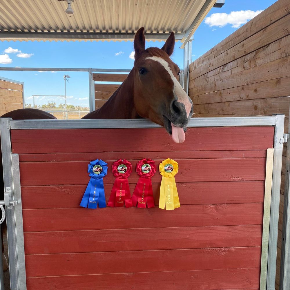 Meet your Posher, Mary